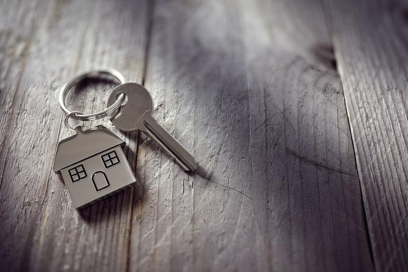 Top Home Endorsements to Consider