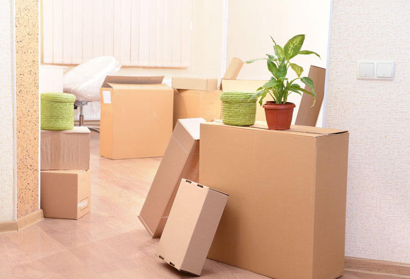 Moving Out Your Parents House? You May Need a New Car Insurance Policy