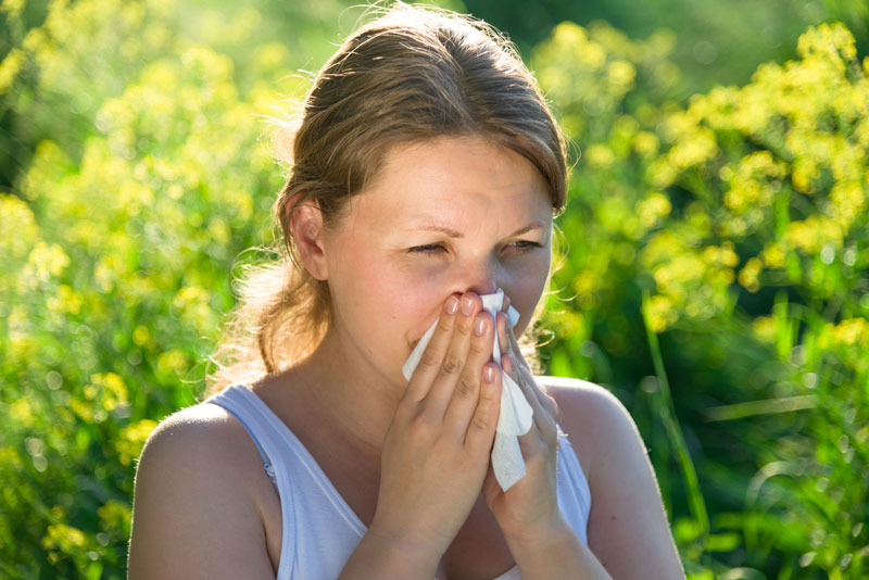 Tips to Survive Allergy Season