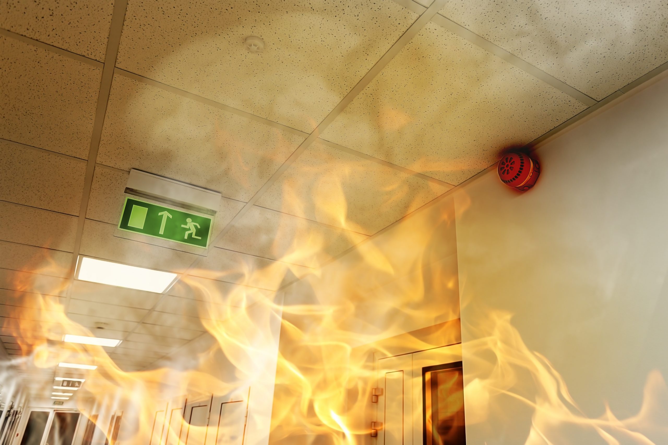 3 Ways to Protect Your Business From Fires