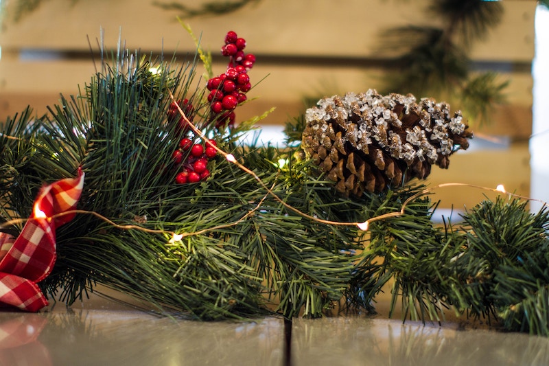 Deck the Halls with These Winter Plants