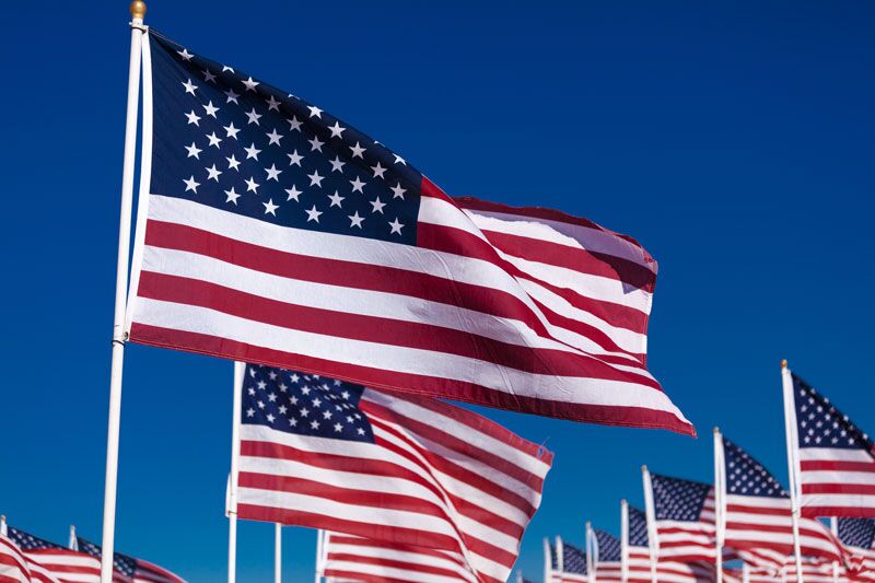 Show Your Gratitude this Veterans Day