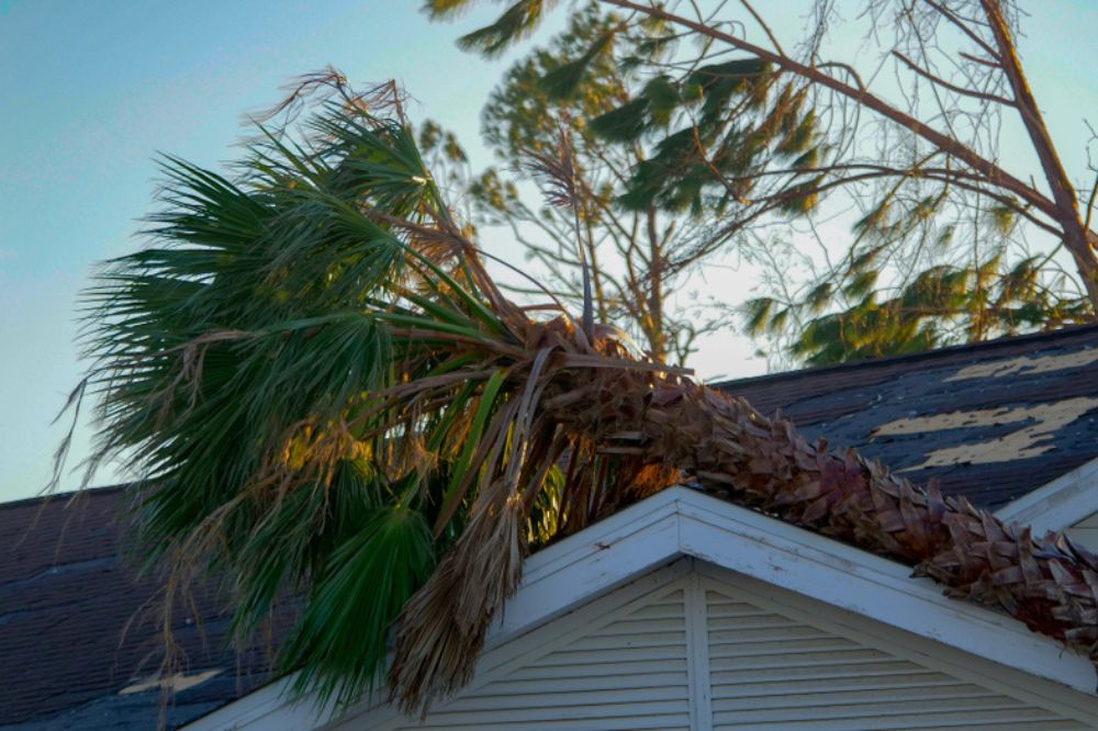 Is Roof Damage from Trees Covered Under Homeowners Insurance?