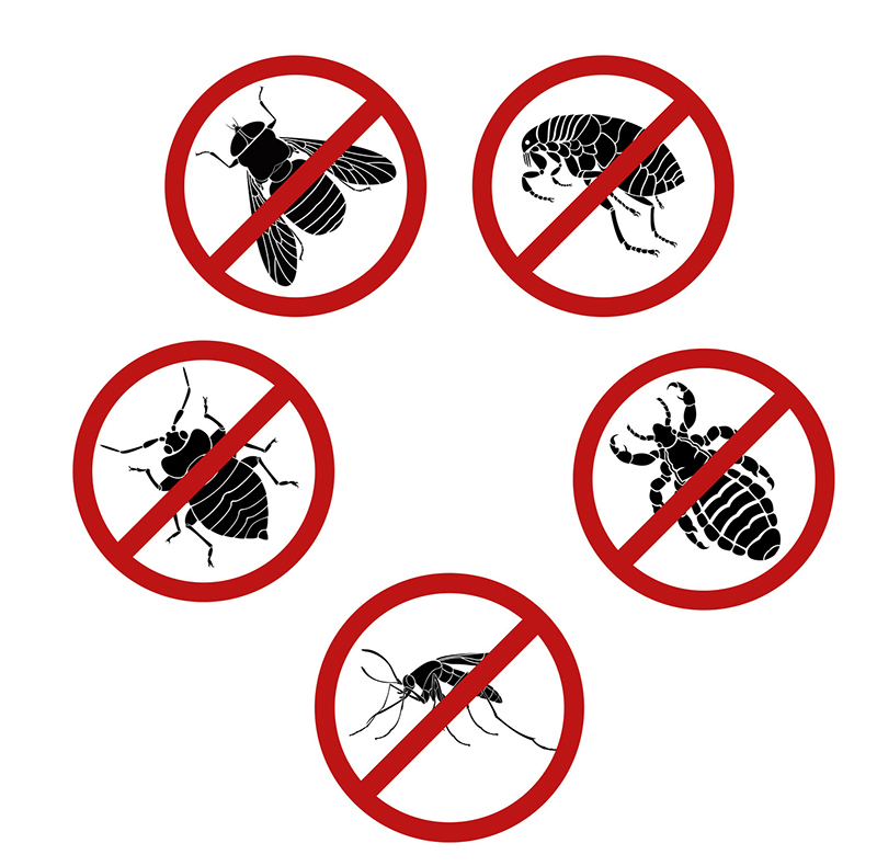 Natural Ways to Get Rid of Pests in Your Home