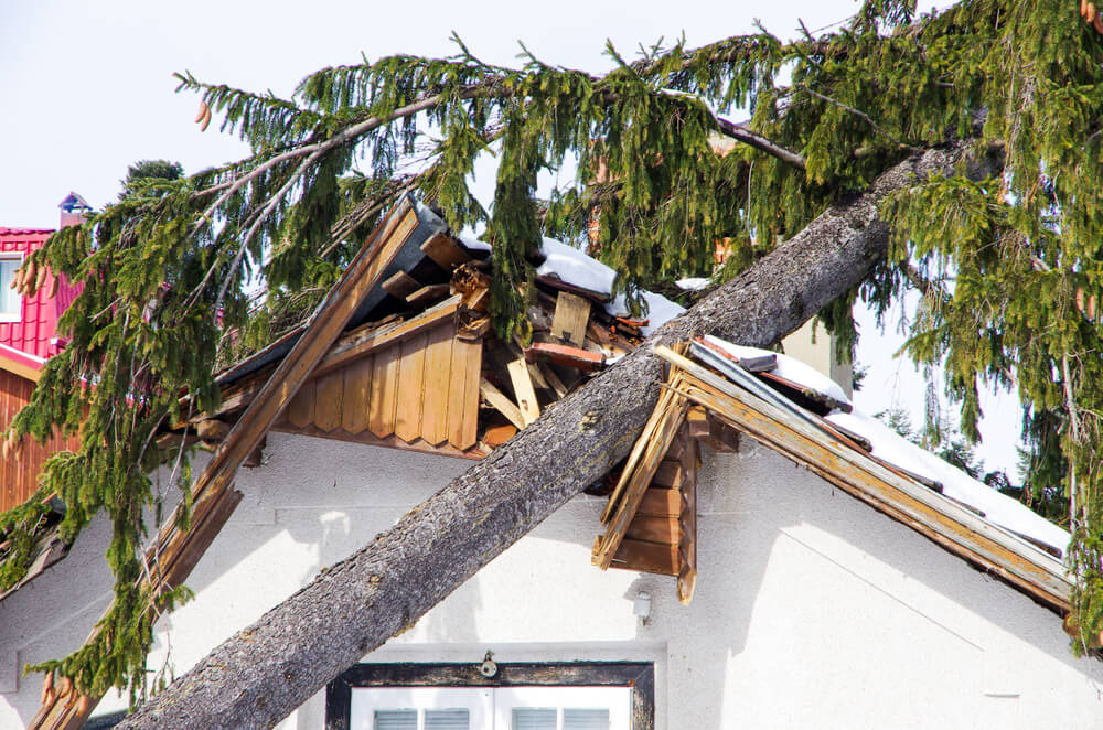 What Should You Know About Homeowners Insurance and Roof Storm Damage
